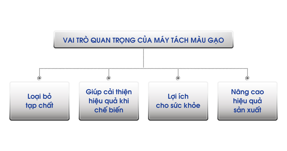 Quy trình sản xuất gạo chất lượng