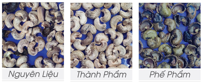 Kết quả phân loại Máy bắn màu hạt điều LM1