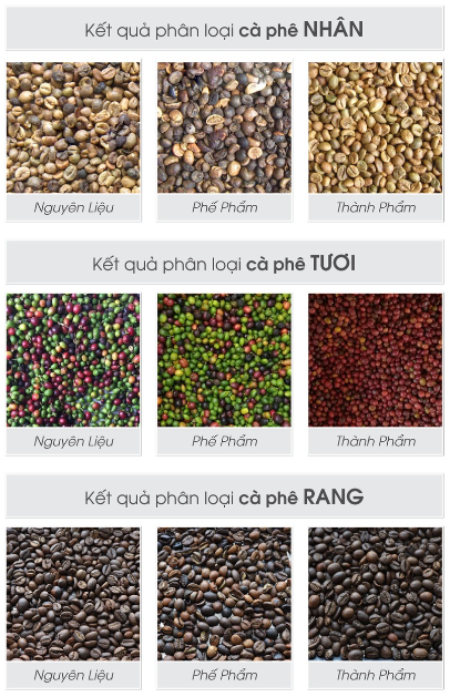 Kết quả phân loại Máy tách màu cà phê LM2