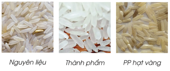 Kết quả phân loại Máy tách màu gạo M80