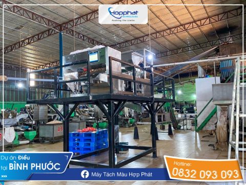 Dự án điều nhân trắng Bình Phước