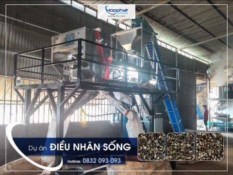 Dự án máy bắn điều nhân sống BS300DY-FX
