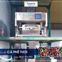 Dự án máy tách màu cà phê tươi ở Dak Nong - ava