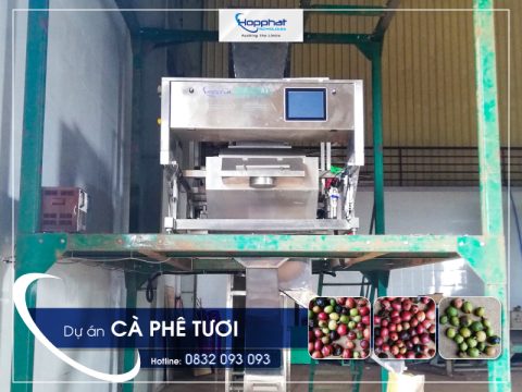 Dự án máy tách màu cà phê tươi ở Dak Nong - ava
