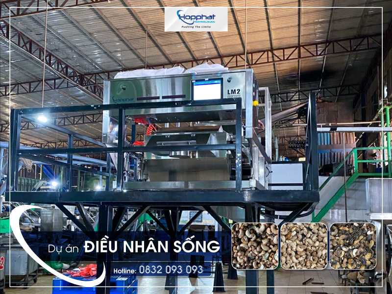 Dự án máy tách màu điều nhân sống LM2