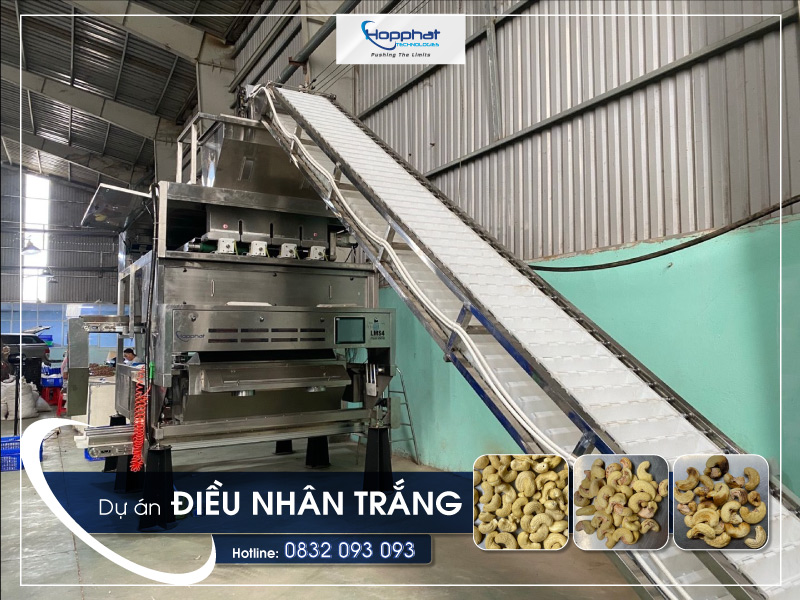 Dự án máy tách màu điều nhân trắng LMS4