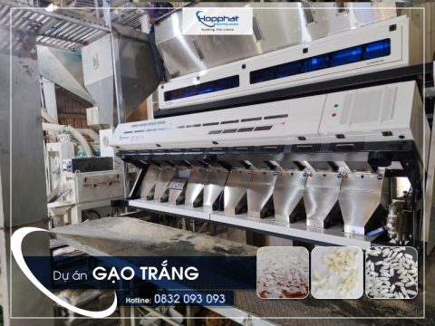 Dự án gạo trắng RG10 tại Hưng Yên