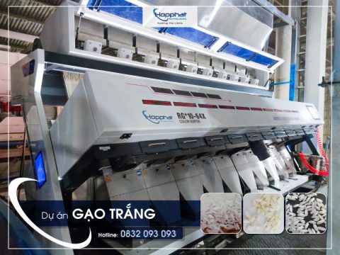 Dự án máy tách màu gạo RG10 tại Hà Nam