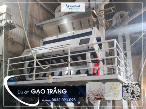 Dự án máy tách màu gạo trắng tại Thái Bình