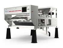 Cashew Color Sorter LM4