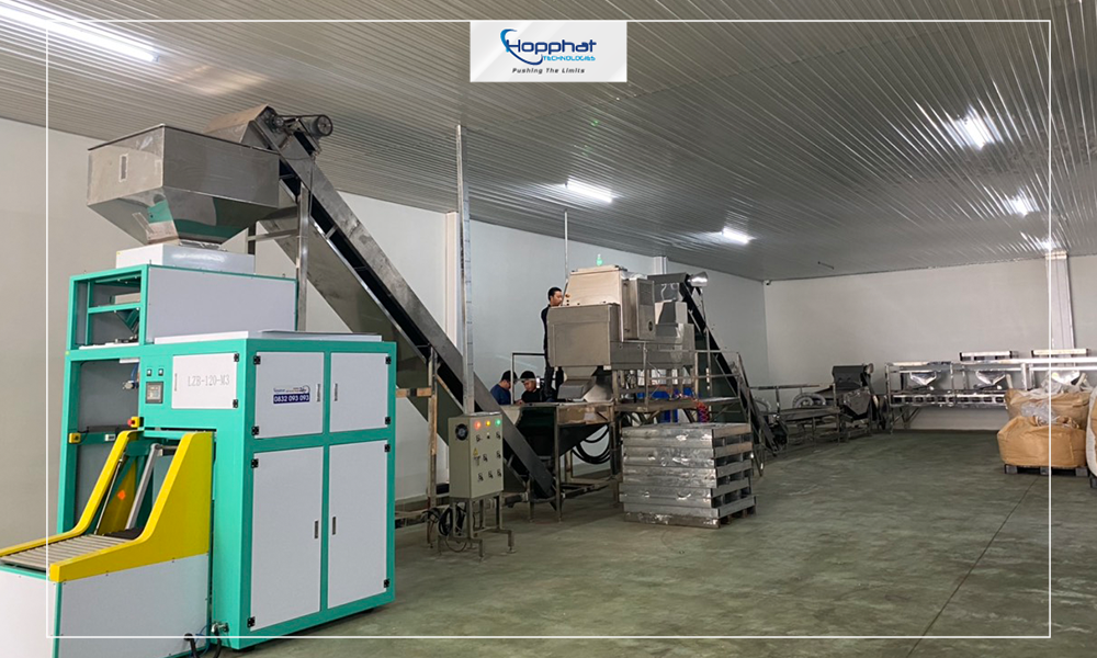 Dây chuyền đóng gói bao bì gồm máy loại bỏ tạp chất X-ray và Cân đóng gói tự động