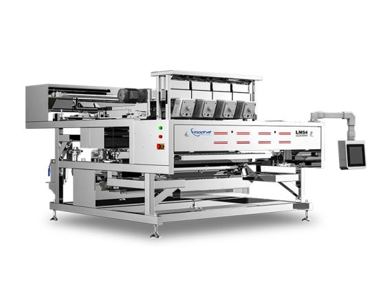 LMS4 Cashew Color Sorter