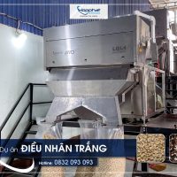 Máy bắn màu hạt điều LQL4