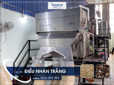 Máy bắn màu hạt điều LQL4