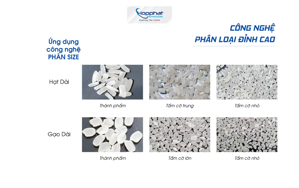 Máy tách màu gạo của Hợp Phát có thể phân size (kích thước) hạt gạo