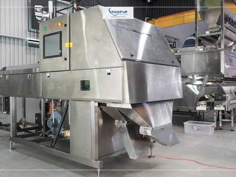 Hình ảnh máy dò loại tạp chất X-ray (Phân loại dị vật Điều) của Hợp Phát