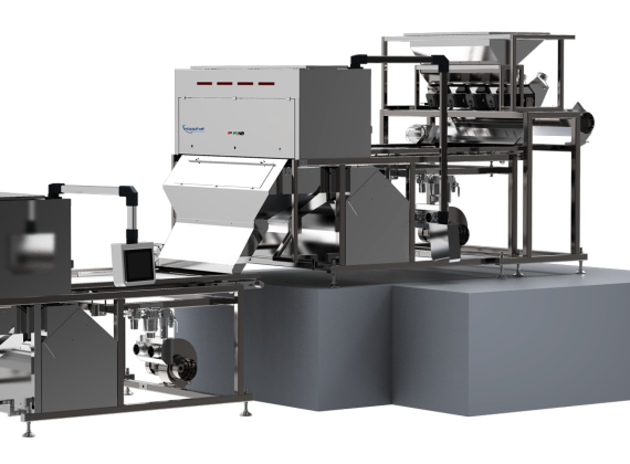 LQL4 - Cashew color sorter
