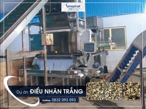 Dự án máy bắn hạt điều P-LQS4