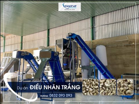 Dự án máy bắn màu hạt điều P-LQS4 tại BP