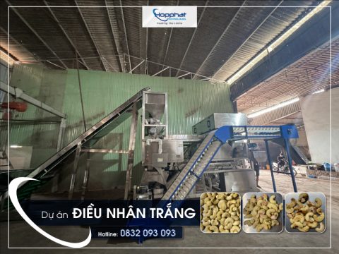 Dự án máy bắn màu hạt điều P-LQS4 tại Bình Phước