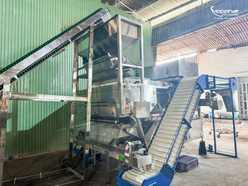 Dự án máy bắn màu hạt điều P-LQS4 tại Bình Phước 3