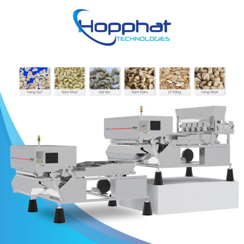 MÁY BẮN MÀU HẠT ĐIỀU NHÂN TRẮNG P-LQL5