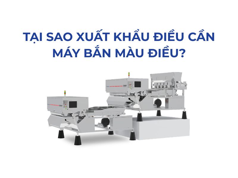 Vì sao xuất khẩu hạt điều cần máy bắn màu điều?